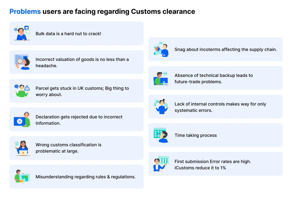 problem face during customs software