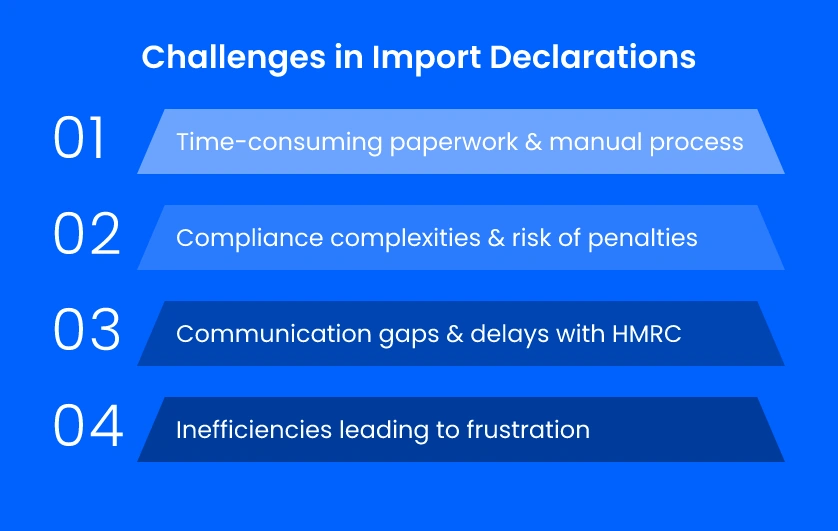 Challenges in Import Declarations